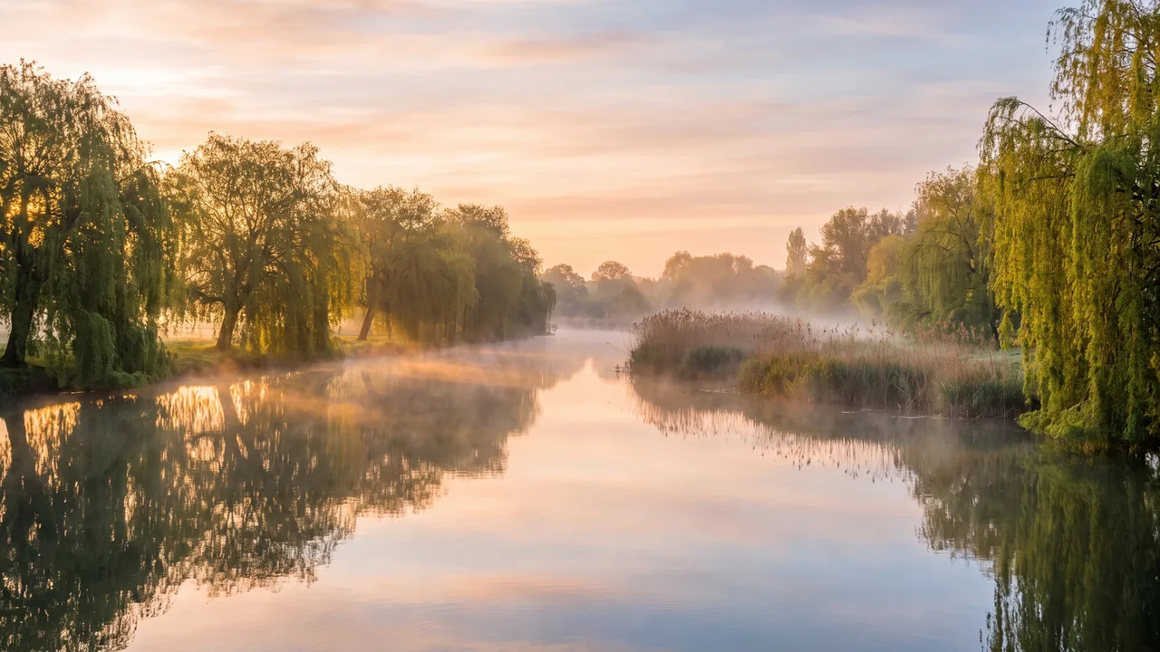 La Boutonne a primera hora de la mañana: aguas tranquilas en las que se reflejan los sauces y un cielo apacible, con una ligera bruma sobre el río