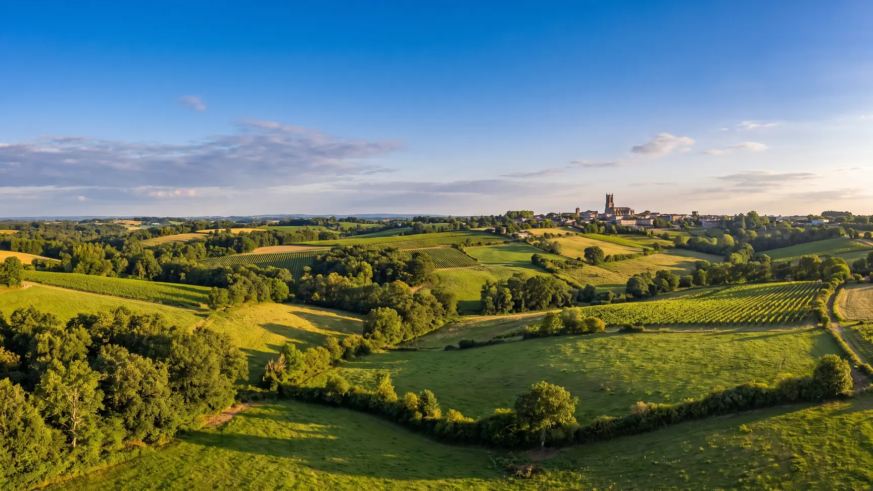 Una vista panorámica de la campiña del Bazadais, con prados, viñedos y bosques entre colinas, y una ciudad con su campanario gótico a lo lejos