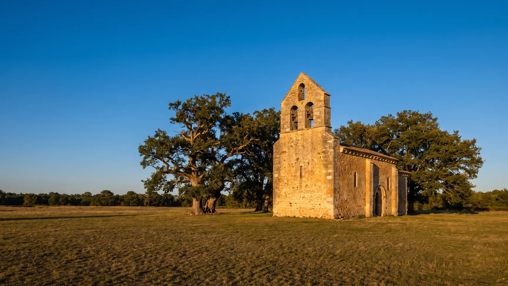 Una pequeña iglesia románica de piedra cálida, con un campanario-muro perforado por ventanas, solitaria en un prado bajo las encinas