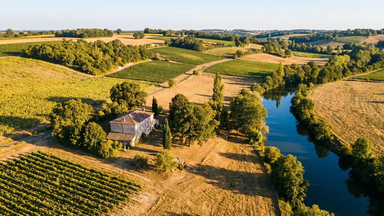La campiña ondulada de la Charente, en los alrededores de Birac, con viñedos y pequeños bosques en laderas calcáreas bajo un cielo azul