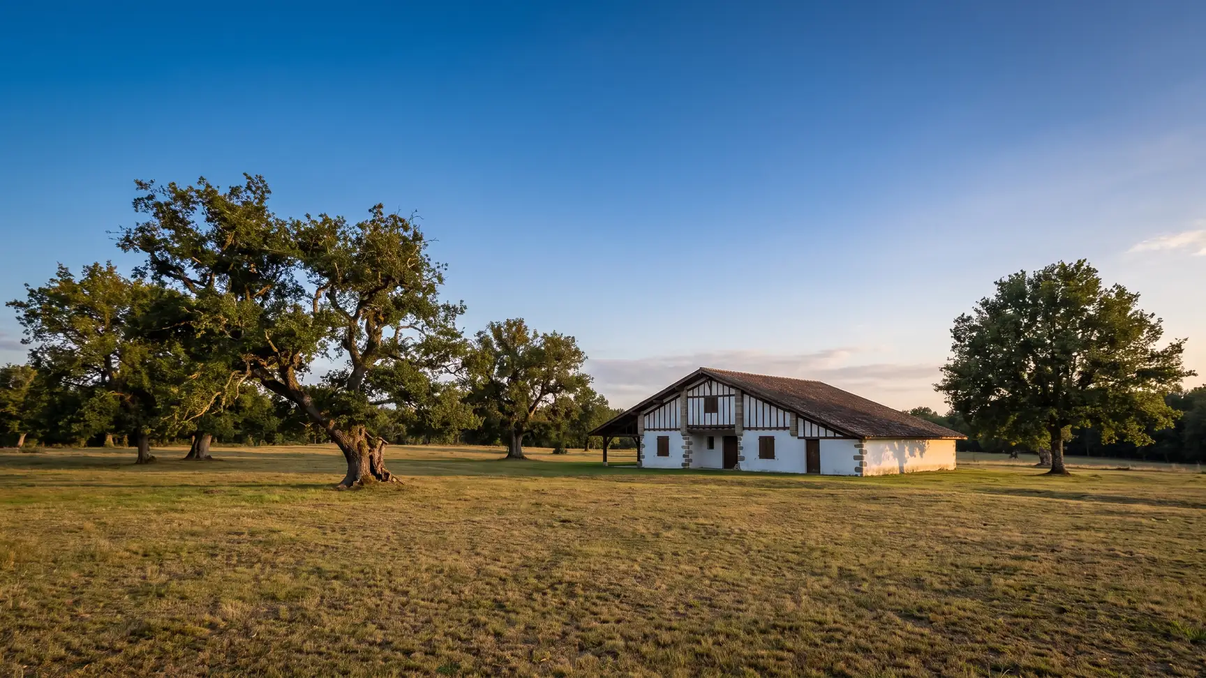 Un «airial» de las Landas: una casa baja y blanca con entramado de madera y un amplio tejado de tejas, a la sombra de robles centenarios