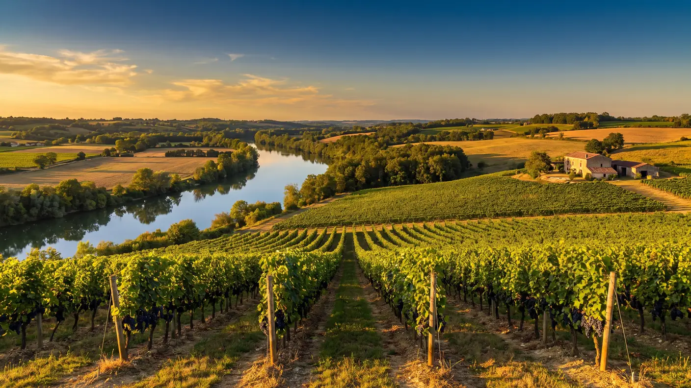 Filas de viñedos de la DOP Buzet en las laderas de Lot-et-Garonne