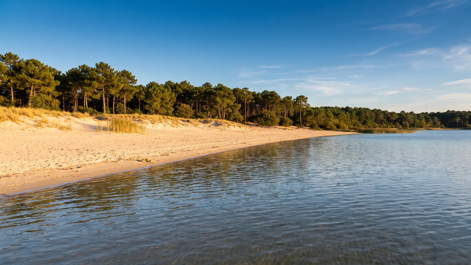 Las playas de arena cerca de Biscarrosse — excursión desde el camping Domaine de la Rive