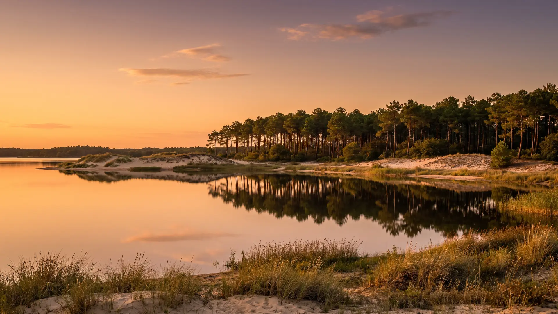 El lago de Cazaux-Sanguinet, en el que se refleja el bosque de pinos, cerca del camping Domaine de la Rive