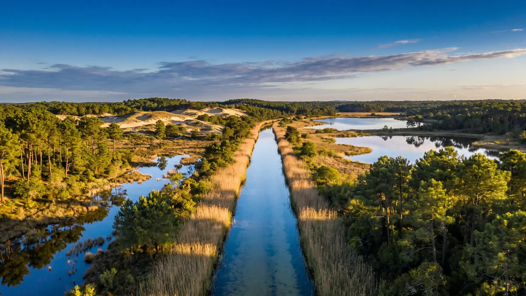 Un canal bordeado de juncos entre los lagos de las Landas, cerca de Biscarrosse, junto al camping Domaine de la Rive