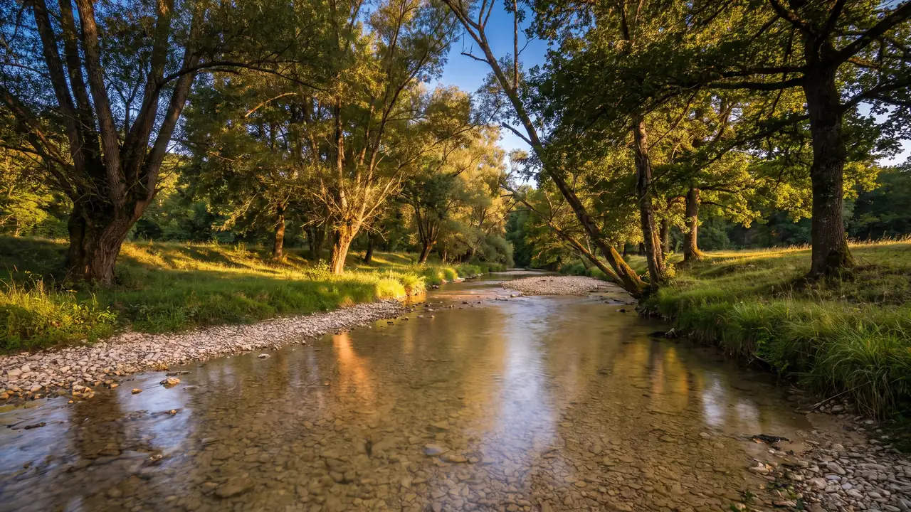 El río Céou, bordeado de árboles, cerca del molino de Paulhiac