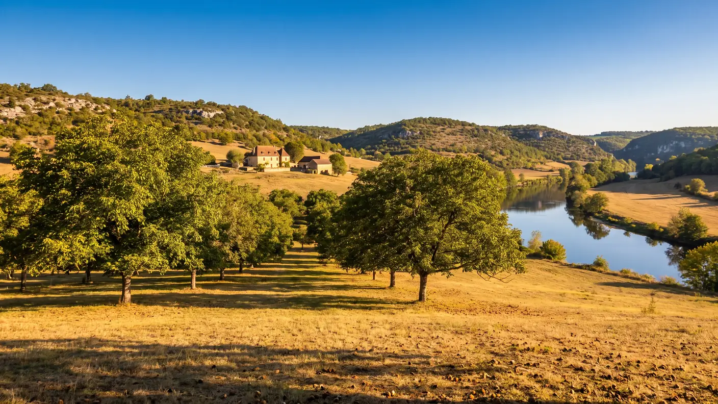 Bosque de nogales del Périgord, cerca del valle del Vézère