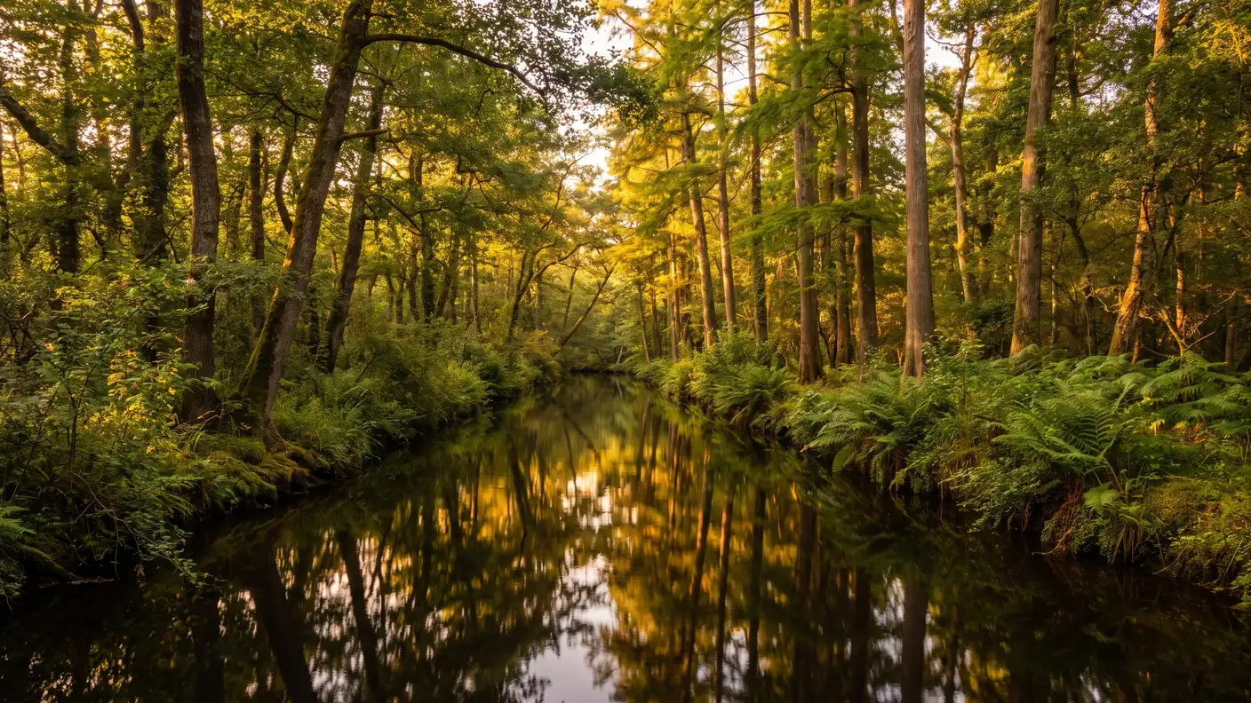 El río Huchet atraviesa el bosque-galería de las Landas