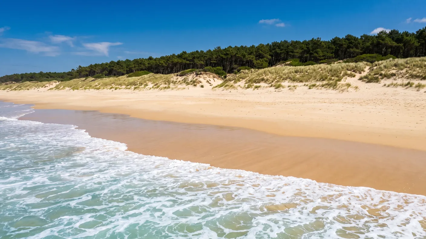 Les Grands Pins: surf de 5 estrellas en Lacanau