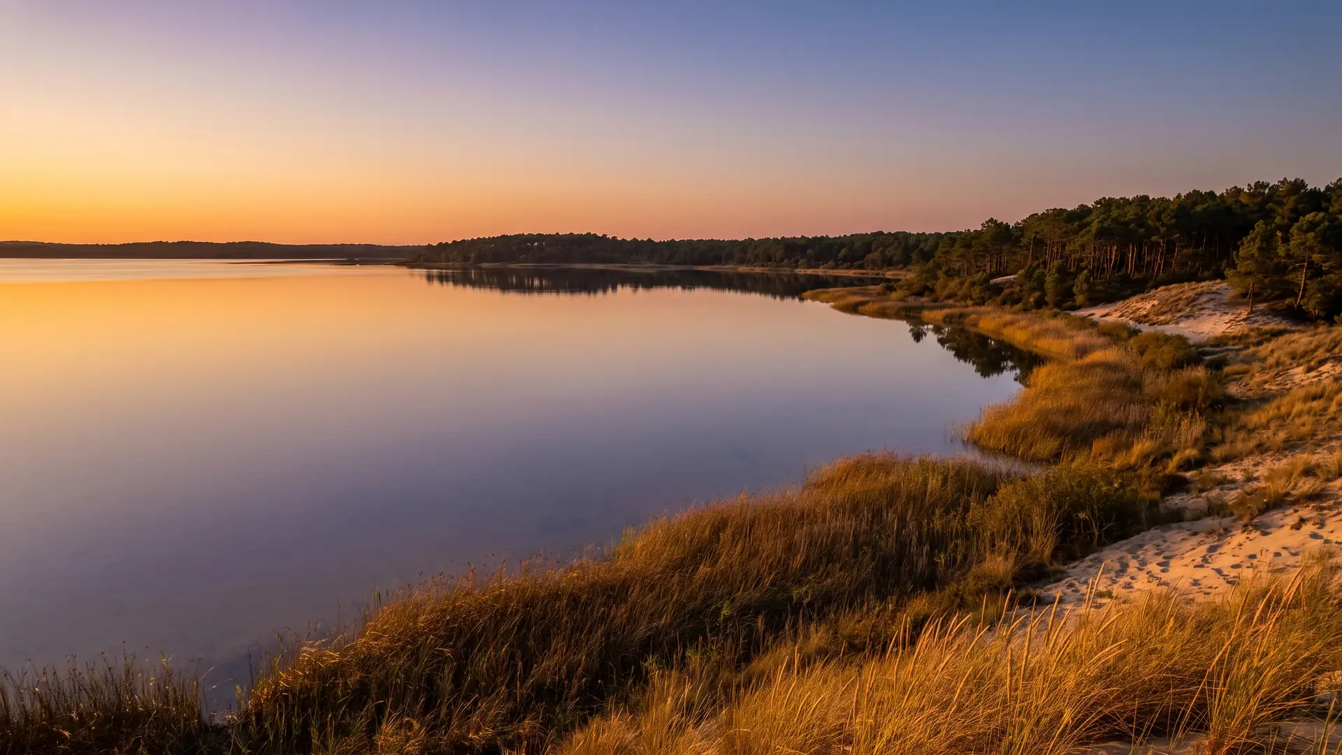 El lago de agua dulce de Lacanau, rodeado de un bosque de pinos, cerca del camping Les Grands Pins