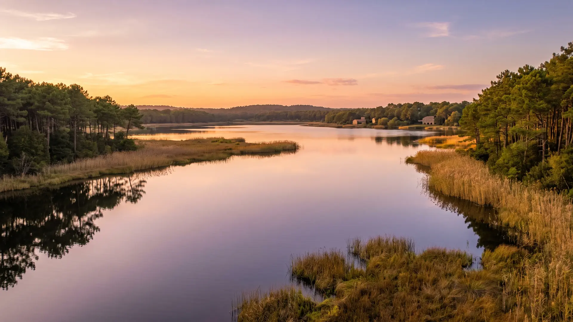 El lago de Léon, una extensa y tranquila masa de agua rodeada de pinos y juncos, cerca del camping Les Vignes