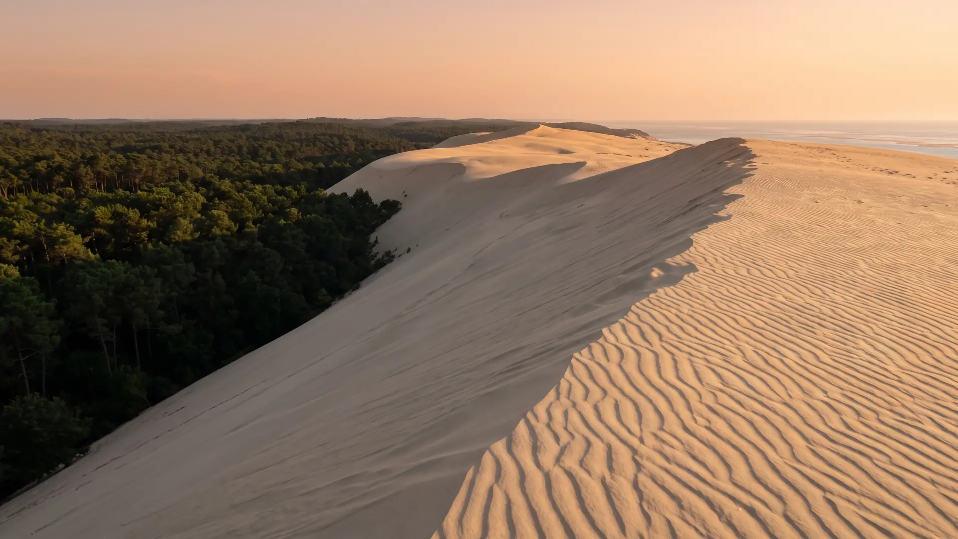 La cresta de la Duna de Pilat, sobre el bosque de pinos y la bahía de Arcachon, cerca del camping Panorama du Pyla