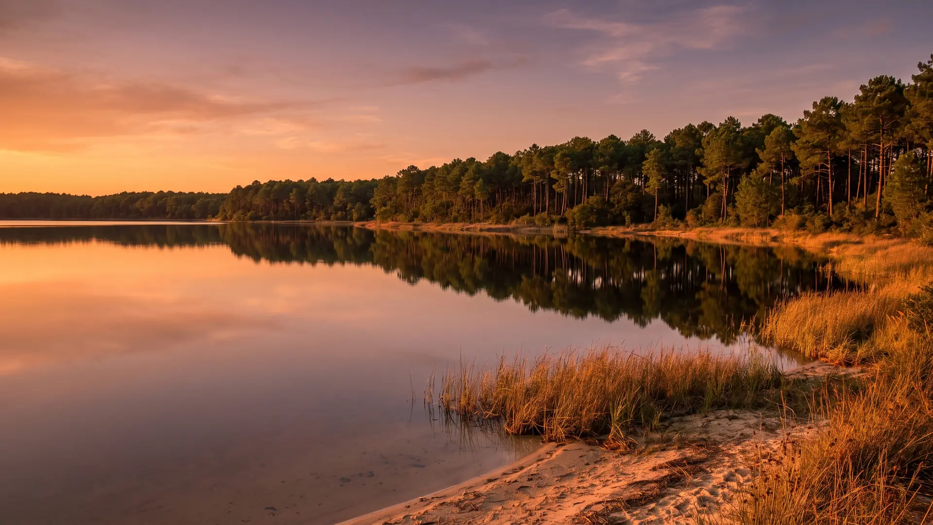 El lago de Lacanau, en el que se refleja el bosque de pinos, con sus aguas dulces y tranquilas de reflejos dorados, cerca del Camping & Spa Airotel L'Océan