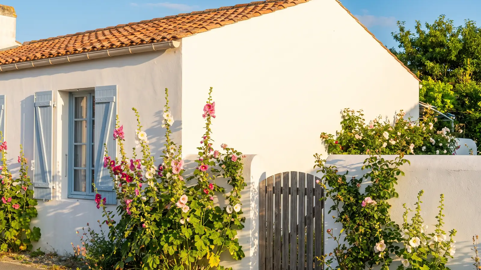 Casa blanca con contraventanas azules y malvas en Bois-Plage-en-Ré