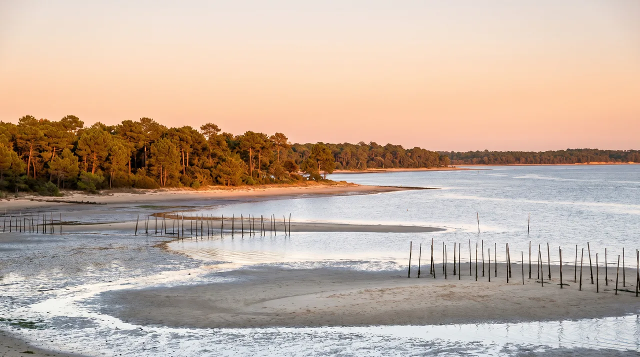 La tranquila bahía de Arcachón, en la punta del Cap-Ferret, al atardecer, con aguas plateadas, pilotes de ostras y bancos de arena