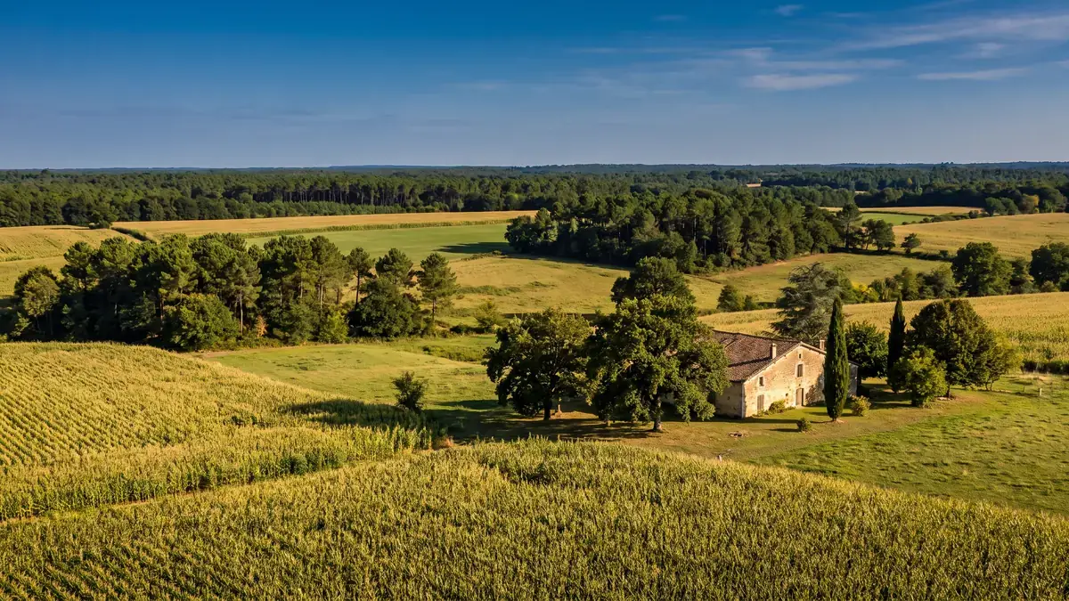 La región del Armagnac en los alrededores de Mézin, una parada enoturística de un día desde Réaup-Lisse