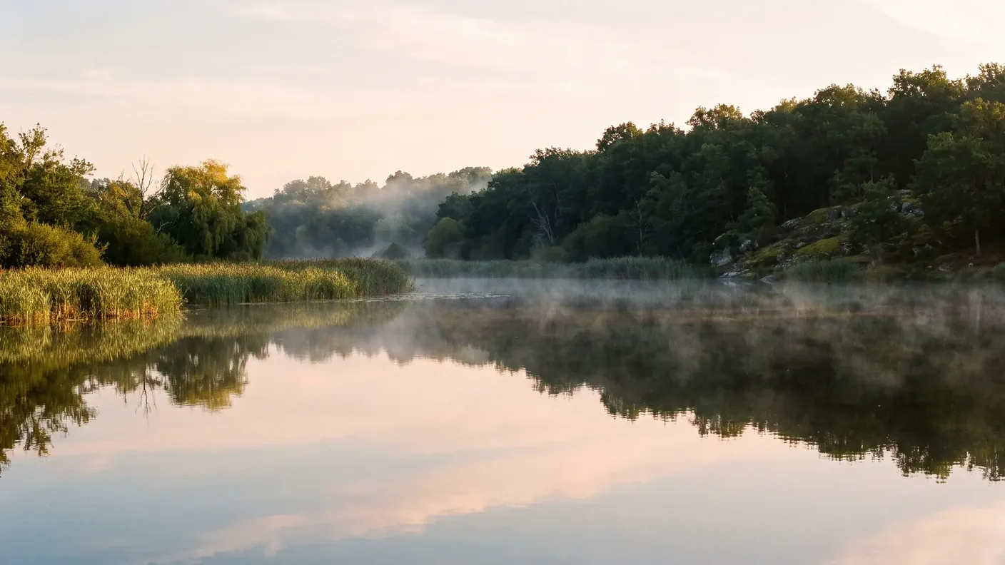 Grolhier Pond at Champniers-et-Reilhac, reed beds and forest in the morning mist