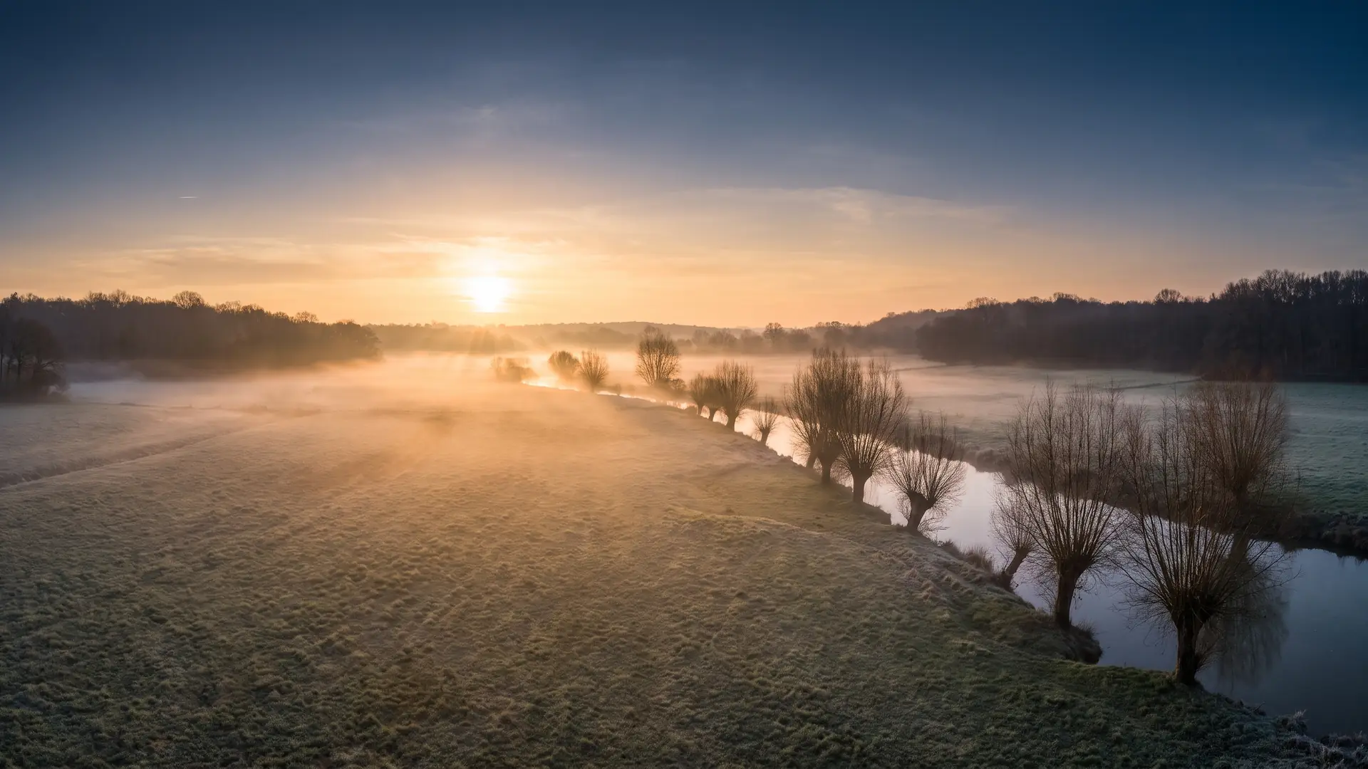 Una extensa pradera húmeda y una llanura abierta a orillas de un tranquilo río del Libournais, en Gironda, al amanecer; una bruma dorada y baja que flota sobre la hierba lisa, una hilera de árboles podados y desnudos y bosques a lo lejos, la primera luz cálida del amanecer rozando el campo, una llanura histórica, solemne y desierta, un cielo apacible, ni un alma a la vista