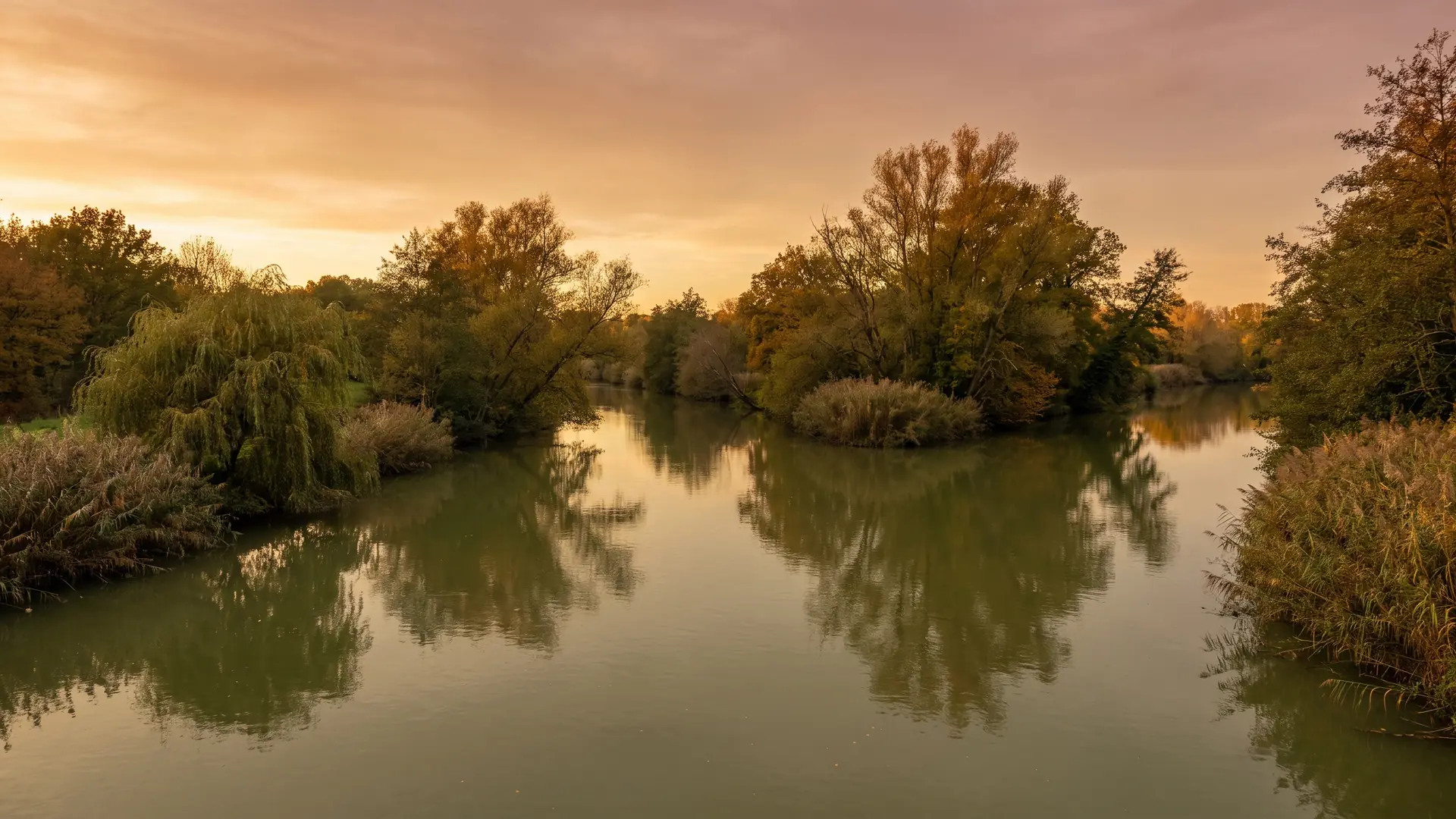 La tranquila confluencia de dos ríos que se unen en la región de Libourne, cerca de Coutras, en Gironda, bajo una luz dorada; dos cursos de agua tranquilos, de color verde-marrón, que se unen entre orillas boscosas y bordeadas de juncos, reflejos inmóviles del cielo cálido, sauces y alisos inclinados sobre el agua, suave luz dorada, un paisaje fluvial apacible y luminoso, sin rastro de personas