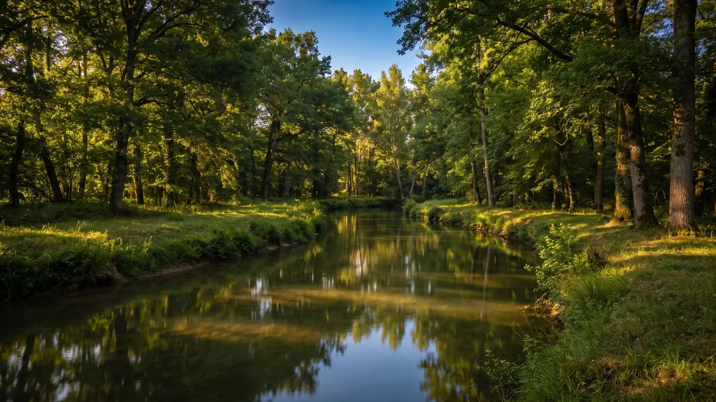 El río Gélise bajo los árboles, cerca de Eauze