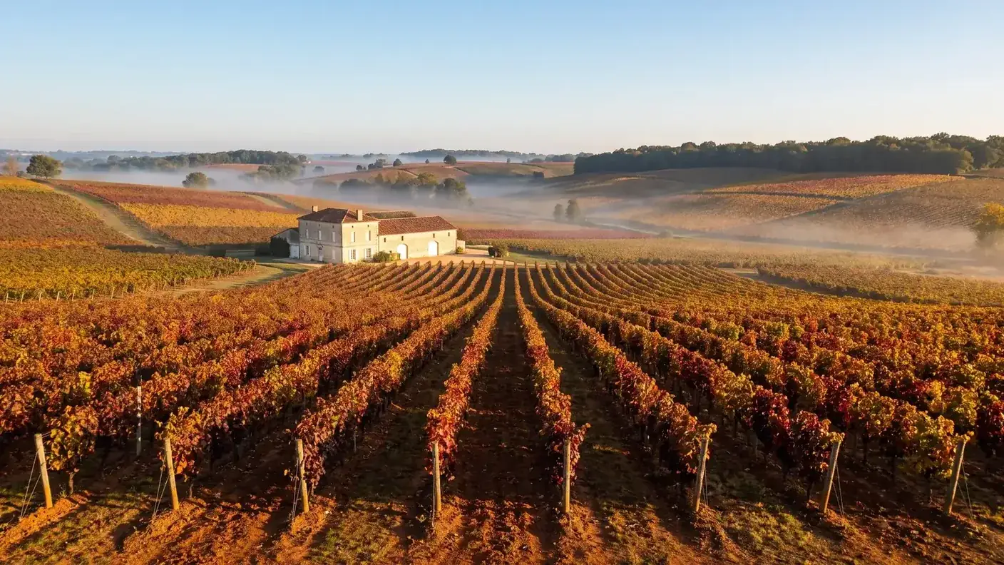 Viñedos de la región de Bergerac en otoño, cerca de Eymet