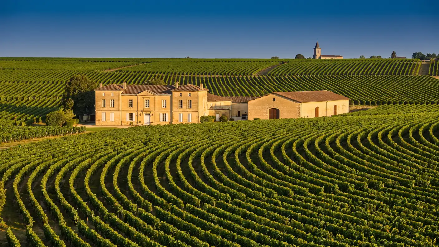 Viñedos de Castillon Côtes de Bordeaux en Gardegan