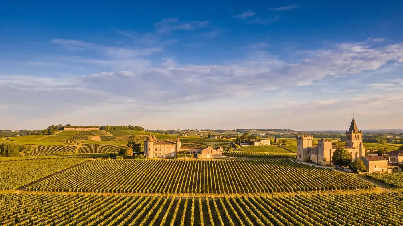Viñedo situado entre Gardegan y Saint-Émilion