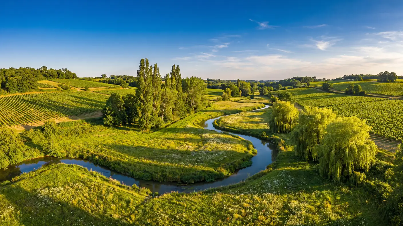 Un valle verde atravesado por un pequeño río, un arroyo que serpentea entre praderas, álamos y laderas cubiertas de viñedos
