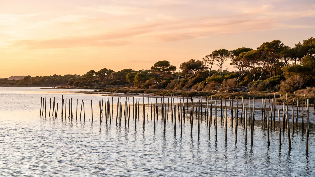 The south shore of the Arcachon Basin at Gujan-Mestras, in Gironde — destination of the private transfer from Bordeaux to Gujan-Mestras