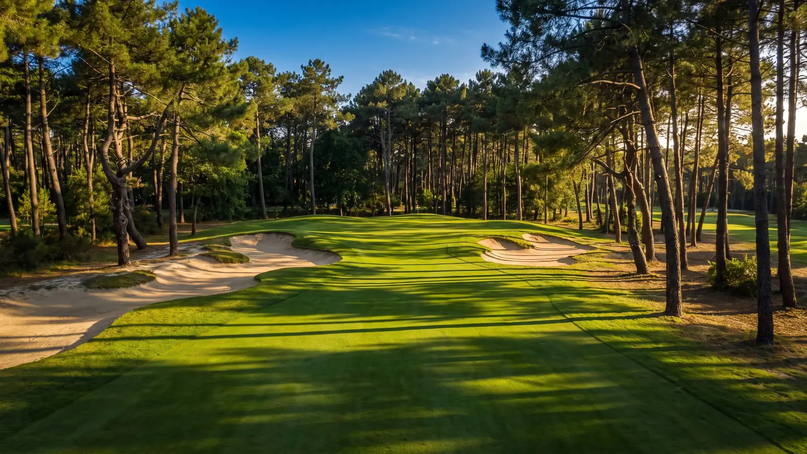 Un campo de golf que serpentea entre los altos pinos marítimos de las Landas, con calles verdes y búnkers de arena