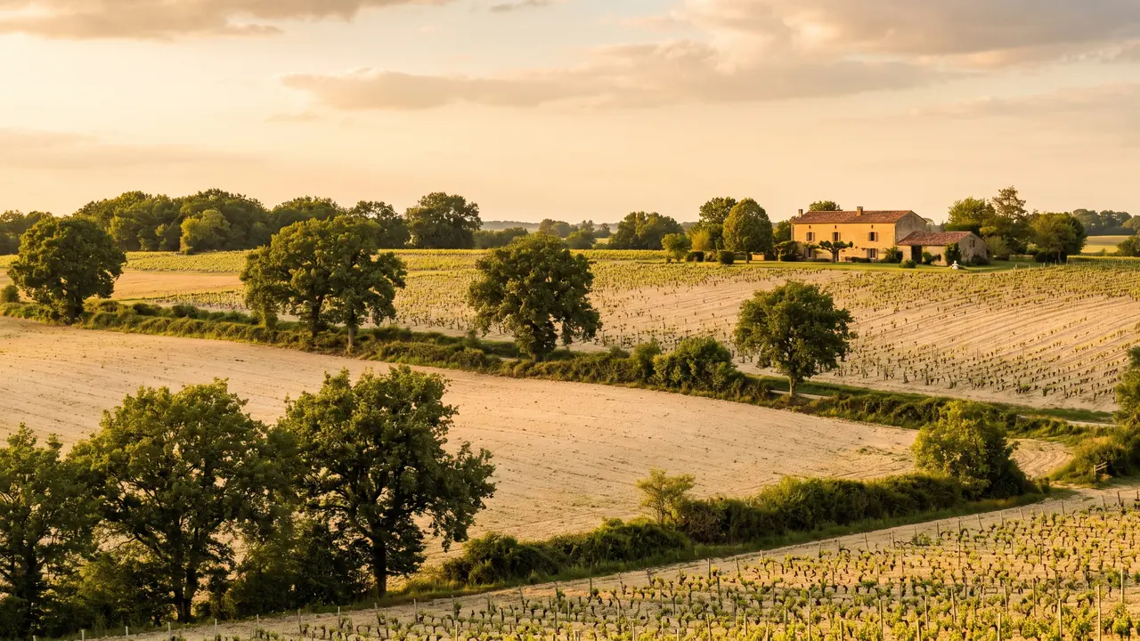 La campiña de Angoumois, cerca de La Couronne, en Charente — destino del traslado privado Burdeos → La Couronne