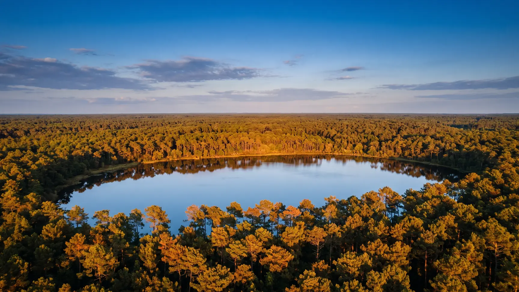VTC Bordeaux Toward Lake Curton (Rainbow Lake) — Louchats, Landes de Gascogne