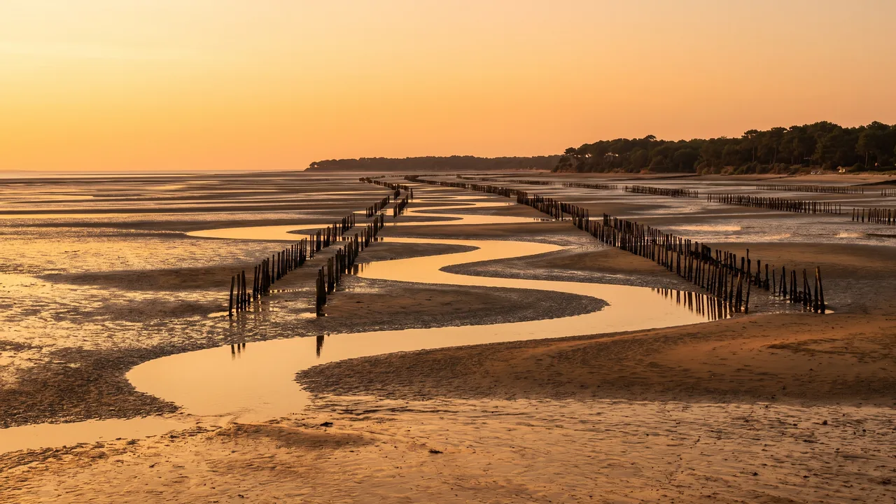 La zona intermareal de la bahía de Arcachón con marea baja en Lanton, bancos de arena húmedos y pilotes de ostricultura al atardecer