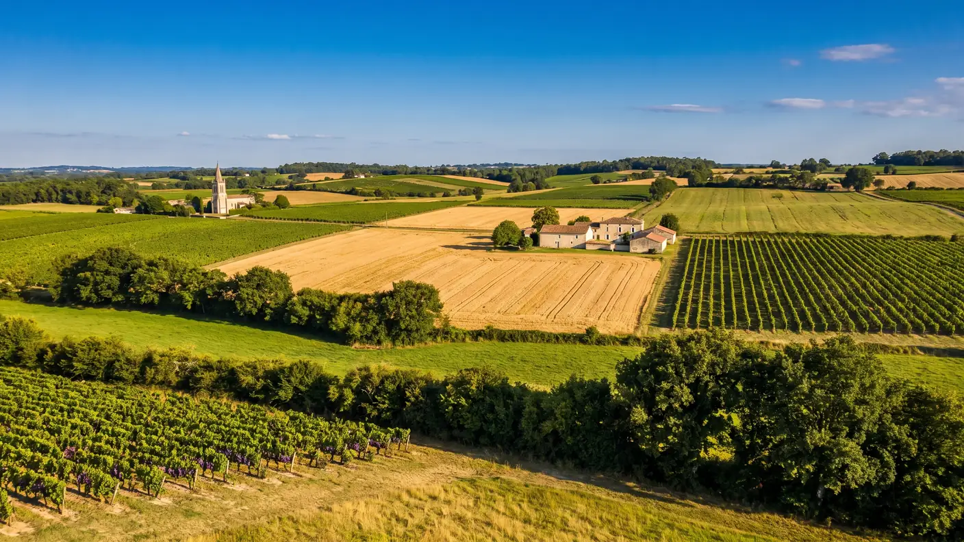 Un mosaico de viñedos, campos y granjas de piedra del norte de la región de Libourne, en Gironda, a finales de verano, con un campanario a lo lejos
