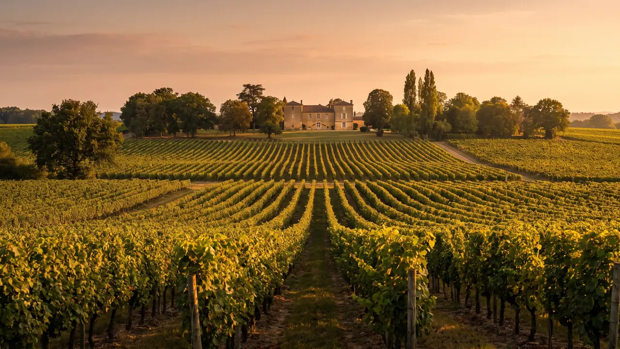 VTC Bordeaux toward Libourne — the Libournais wine region