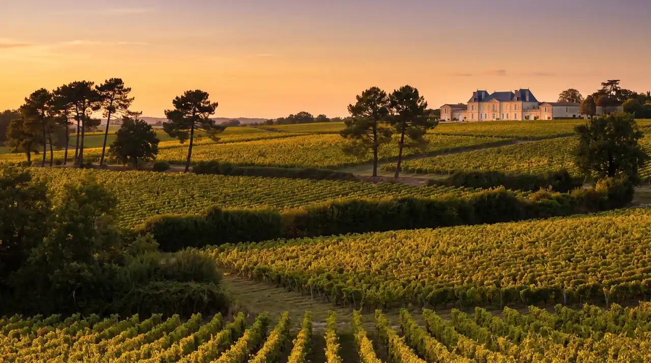 La campiña ondulada del Médoc en los alrededores de Margaux, en Gironda — destino del traslado privado Burdeos → Margaux