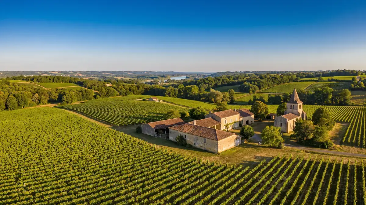 Los viñedos del Val de Garonne, en los alrededores de Marmande, una parada de un día de camino hacia la región de Duras