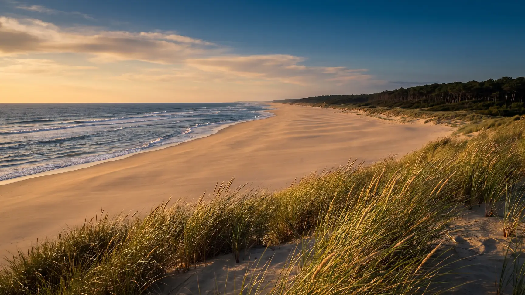 VTC Bordeaux toward Mimizan — Côte d'Argent, Landes