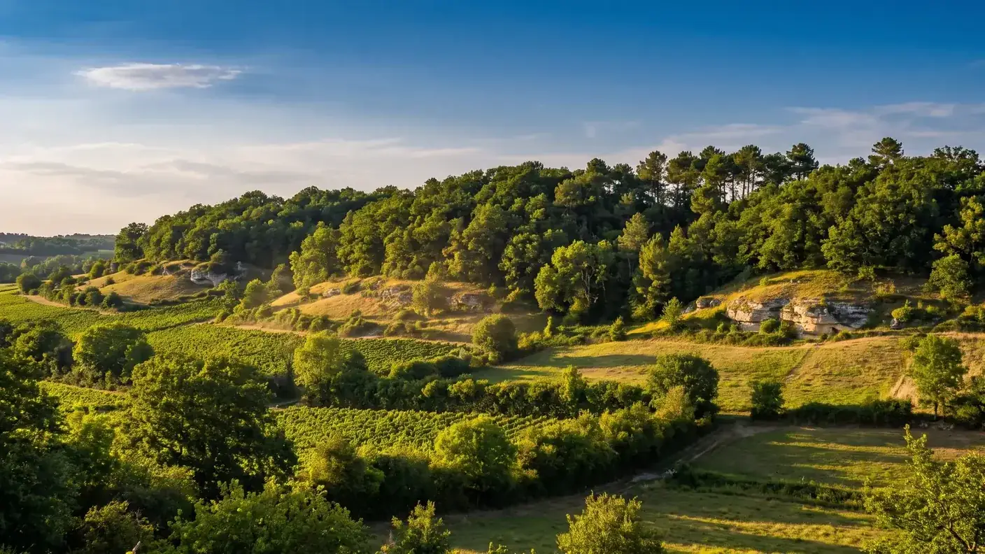 VTC Bordeaux toward Mirambeau — Haute-Saintonge