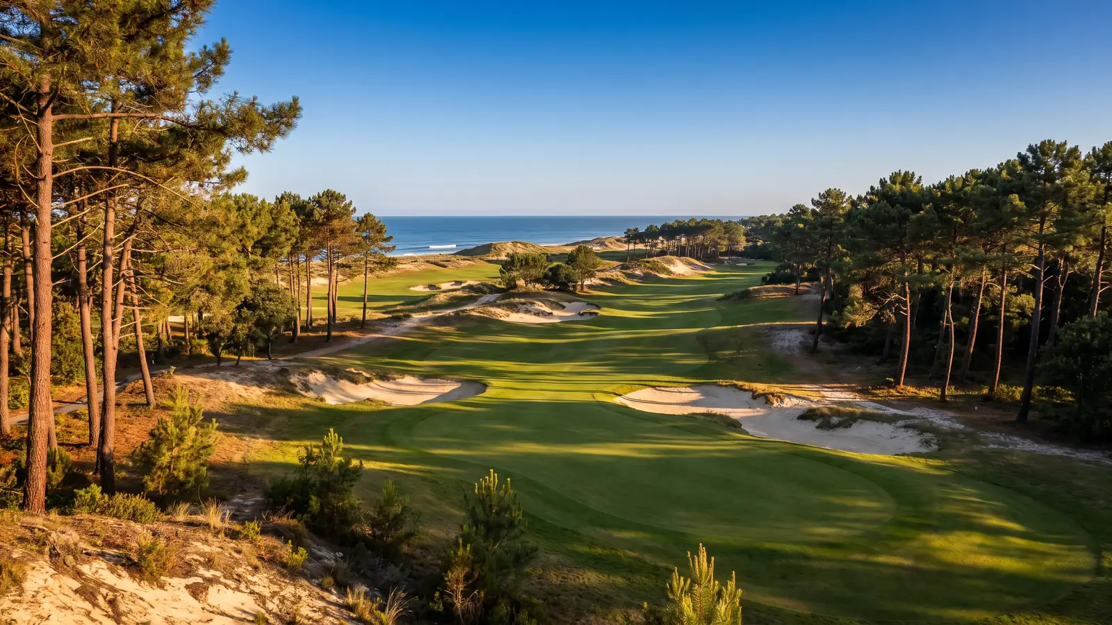 Un campo de golf de estilo links entre grandes pinos marítimos y dunas de arena, con el océano brillando en la lejanía
