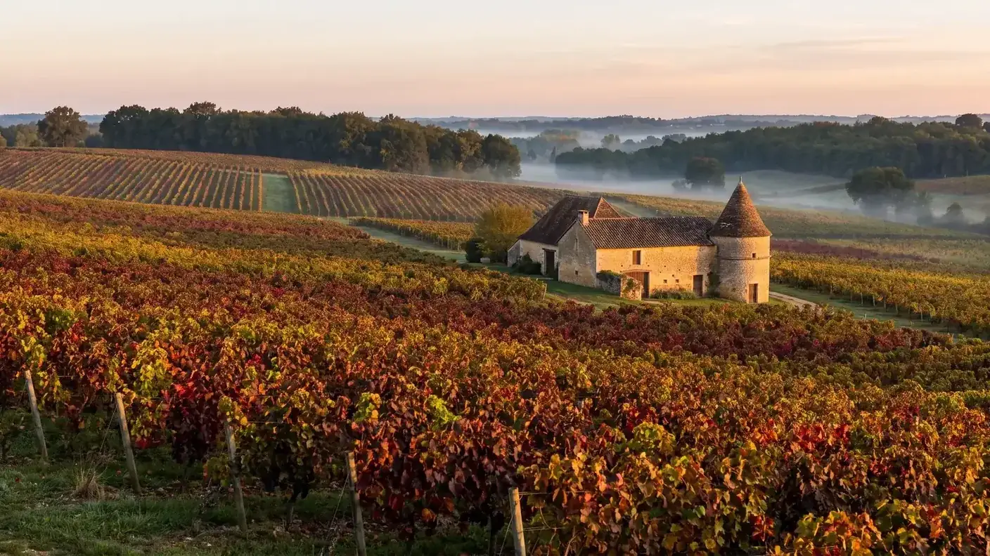 Viñedo de Monestier con los colores del otoño