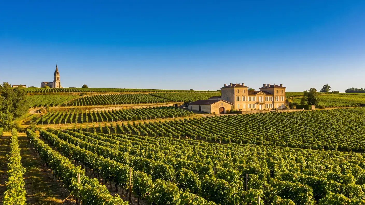 Viñedos de merlot en la meseta arcillo-calcárea de Montagne-Saint-Émilion
