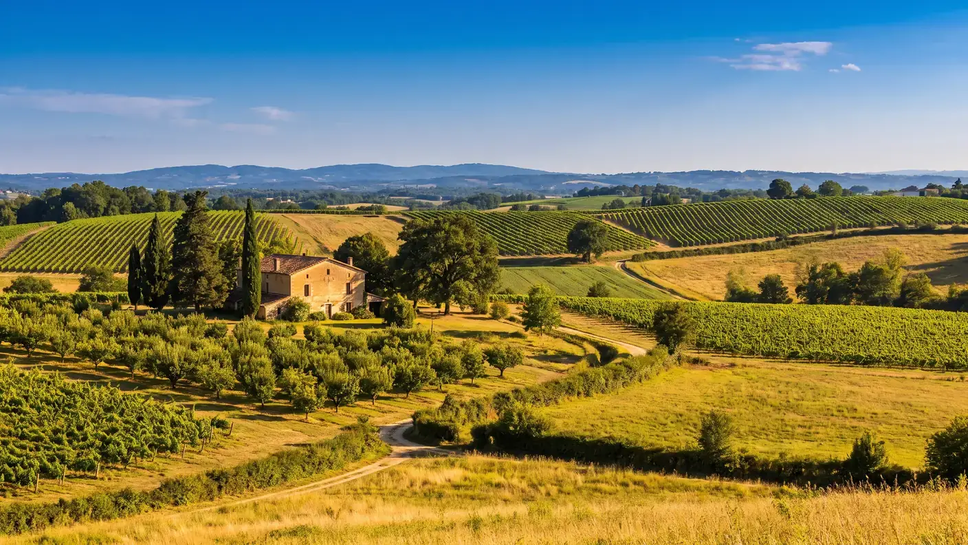 La campiña ondulada de Albret, cerca de Nérac, con hileras de viñedos y huertos en laderas soleadas