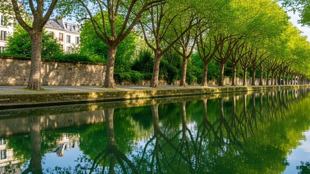 Le canal Saint-Martin à Paris un matin d'été, passerelle de fonte et platanes au-dessus de l'eau