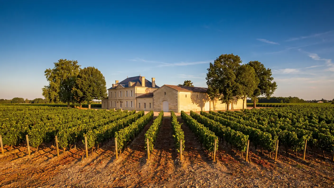 Finca vinícola de piedra rodeada de viñedos en Pomerol