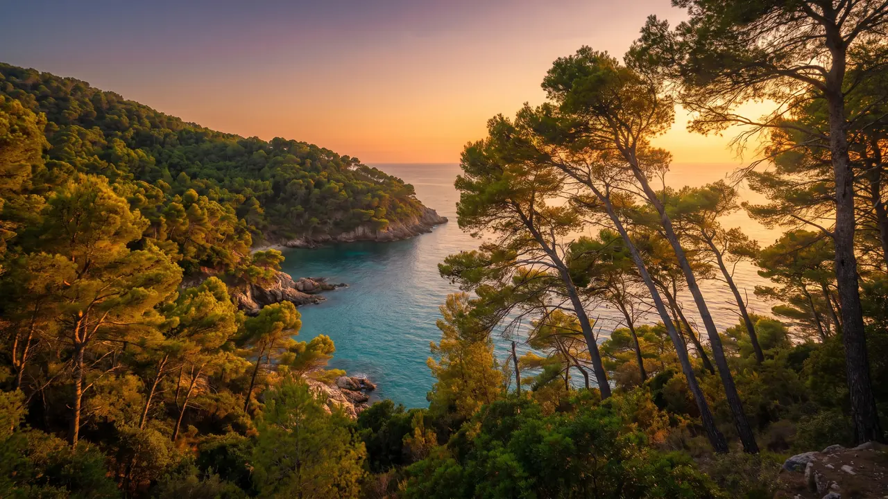 Pinos marítimos de la Corniche con vistas a las aguas de la Bahía en Pyla-sur-Mer