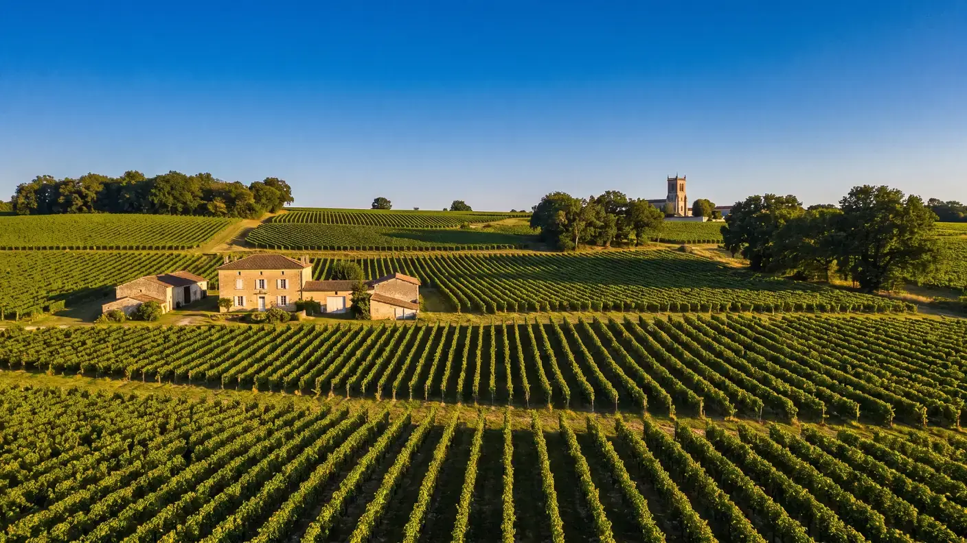 Viñedos de coñac dispuestos en hileras regulares sobre las colinas onduladas de Charente-Maritime, una casa de campo de piedra