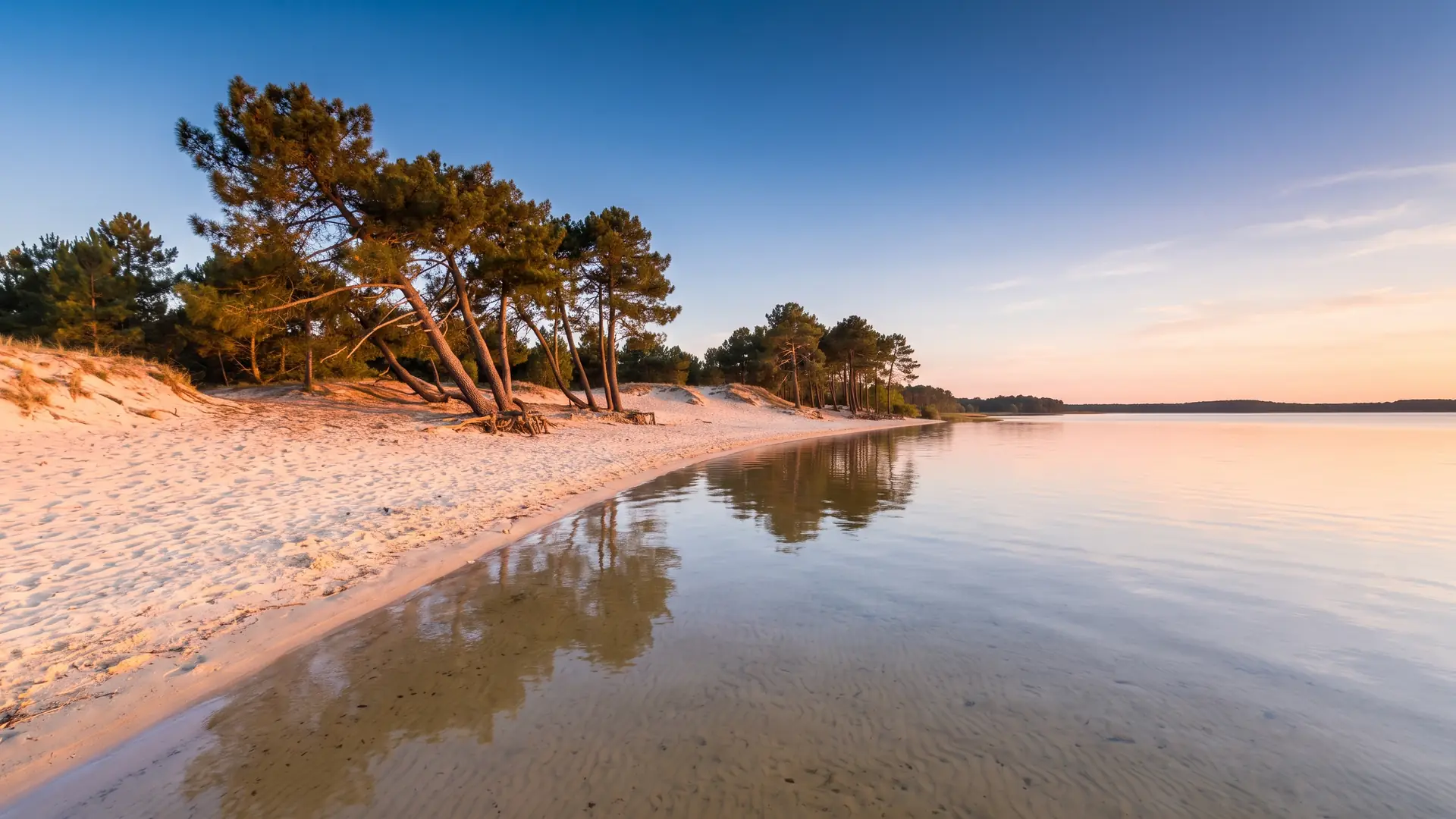 VTC Bordeaux toward Sanguinet — the Born region, Landes