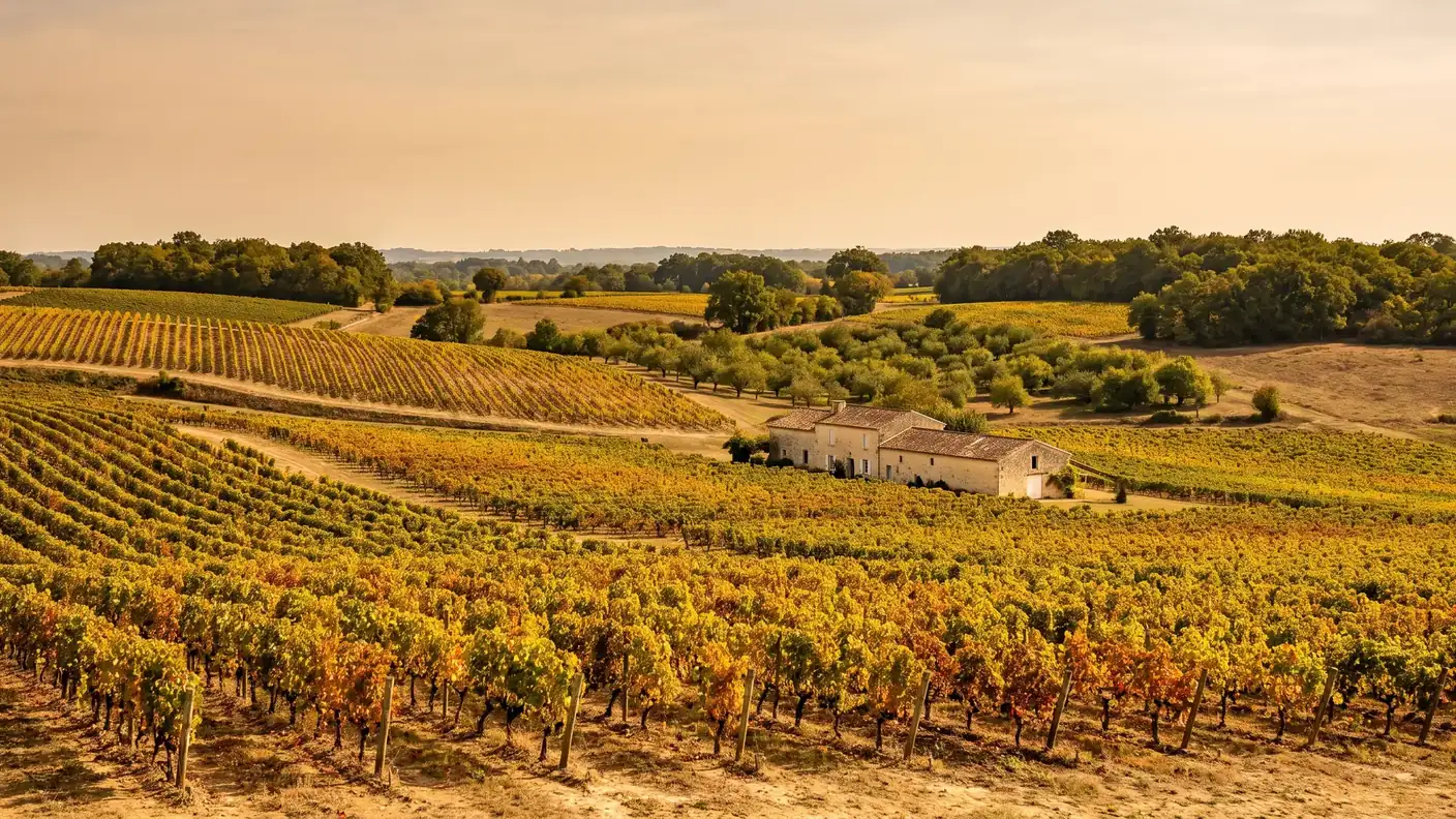 Viñedos de la región de Bergerac en los alrededores de Serres-et-Montguyard en otoño