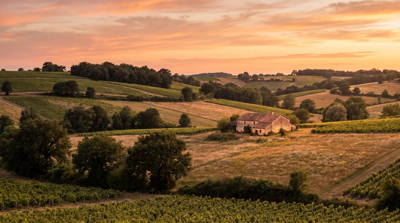 Las laderas de Entre-deux-Mers, cerca de Tizac-de-Curton, al atardecer; laderas cubiertas de viñedos y campos; una granja a lo lejos